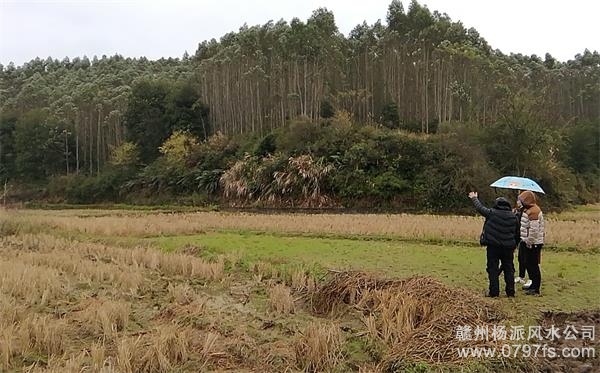 玉林市陈老师带着爱徒寻龙点穴